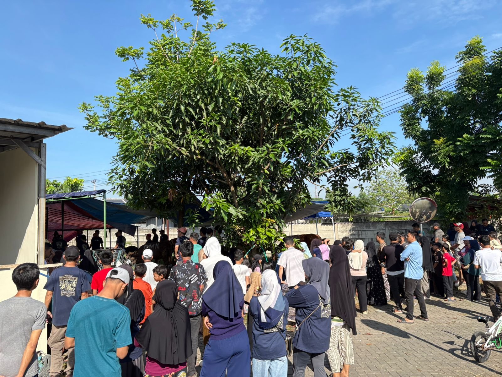 Penyembelihan Hewan Kurban di Cluster Diamond BTR3 Berjalan Lancar, Warga Antusias Rayakan Idul Adha 1447 H
